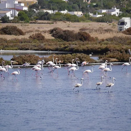 بيت ضيافة Nomad